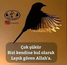 Atiye Adli Kullanicinin Saka Gibi Panosundaki Pin Sakalar