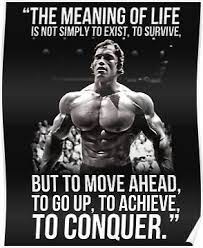 The Meaning Of Life Arnold Schwarzenegger Hd Poster By Luna Stones Fitness Motivation Quotes Body Under Construction Meaning Of Life