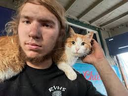 Missing cat Sandy in Ogden, Lake St and Taylor Ave