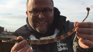 Profile for South coast lure fishing