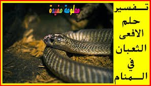 تفسير حلم رؤية النمل الاحمر والاسود في المنام. Ù…Ø§Ø±Ø¬Ø±ÙŠØª Ù…ÙŠØªØ´Ù„ Ø§Ù„Ù…Ù†Ø²Ù„ÙŠ Ù…ÙƒØ³ÙˆØ±Ø© Ø§Ù„Ø«Ø¹Ø¨Ø§Ù† ÙŠÙ„ØªÙ Ø­ÙˆÙ„ Ø§Ù„ÙƒØ±Ø© Ø§Ù„Ø§Ø±Ø¶ÙŠØ© Analogdevelopment Com