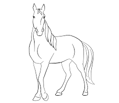 Ausmalbilder Tiere Pferd Pferde Gaul Ackergaul Ponny Karikaturen Comic Cartoon Ausmalbilder Pferde Ausmalbilder Tiere Ausmalen