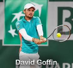 David goffin's official facebook page. David Goffin Player Profile