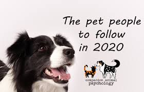 Maybe you would like to learn more about one of these? The Pet People To Follow In 2020