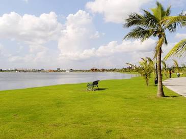 New Town Eco Park lakeside view, AI generated