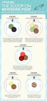 Newborn Poop Infographic Decoding The Color Preggers