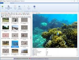 A version i mean it moded which does not require any registration key or activation key? Diskdigger Pro File Recovery Apk Uptodown Naurialcudma