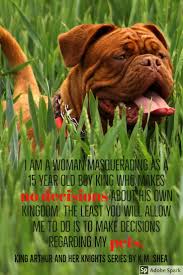 Quote From King Arthur And Her Knights Series Author K M Shea Time Travel Romance Libros Animales