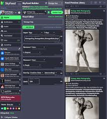 How To Build an Adult Bluesky Feed - Collectors Realm 3