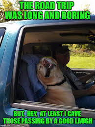 100 Hilarious Road Trip Memes Cartoons Truth About Family Travel