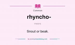 What Does Rhyncho Mean Definition Of Rhyncho Rhyncho Stands For Snout Or Beak By With Images Elementary Education Science Education Quotes Education Motivation
