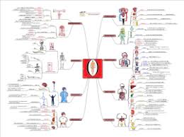 Download Free Science Mind Map Templates And Examples
