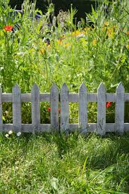 Bordure De Jardin Articulee En Bois De Sapin Planter Des Arbres Jardins Plante