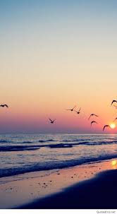 Illustration of sunset background on beach with palm tree, boats, and birds. Sunset Beach Iphone Wallpapers Top Free Sunset Beach Iphone Backgrounds Wallpaperaccess