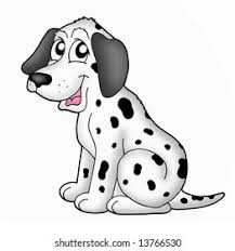 Image result for dalmatin