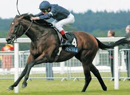 Henrythenavigator Thoroughbred Horse Racing Thoroughbred Racehorse Sport Horse