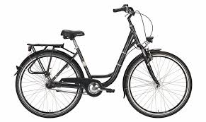 Ein robustes und unkompliziertes fahrrad? Modelle Excelsior Das Lifestyle Und Stadtrad