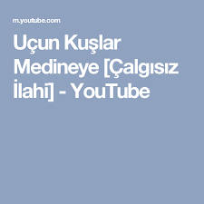 Ucun Kuslar Medineye Calgisiz Ilahi Youtube Youtube Kus