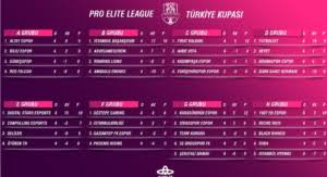 Gruplarda 22 aralık'ta başlayan ikinci hafta maçlarında alınan sonuçlar ve oluşan puan durumları şöyle Pro Elite League Turkiye Kupasi Puan Durumu
