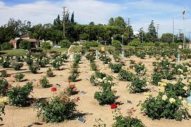 Rates are always competitive, and the staff at this omaha hotel strives to provide the best possible service. Pacific Electric Inland Empire Trail California Trails Traillink