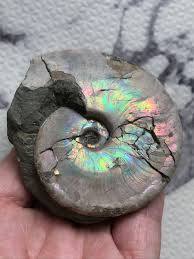 glassaqua.com