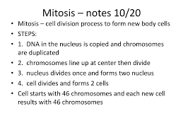 Read pdf answers to ch 14 human chromosomes (revision session) class 11th biology 14.human nutritionchoices: Ppt Heredity Powerpoint Presentation Free Download Id 6822955