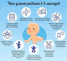 Razvitie Rebenka V 5 Mesyacev Kalendar Razvitiya Po Mesyacam