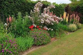 Pin On Garden
