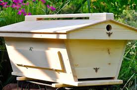 infobox supplywood/supply supplyplywood/supply supplybeehive kit/supply supplyjars/supply supplywood screws/supply supplywood stain/supply supplybees/supply. Bee Built