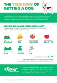 Here S How Much It Actually Costs To Have A Dog Puppy Infographic Pet Care Tips Pet Care Dogs