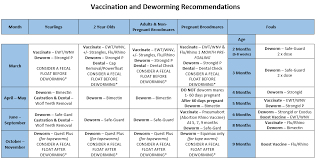 Horse Vaccine Chart Www Bedowntowndaytona Com