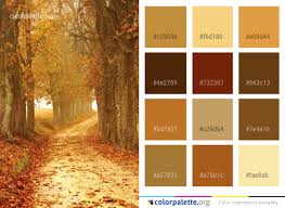 Nature's palette makes this remarkable volume available to today's readers, and is now fully enhanced with new illustrations of all the animals, plants, and minerals werner referenced alongside each color swatch. Nature Autumn Woodland Color Palette Colorpalette Org