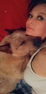 Missing Dog Ripper from Bay Road and South 51