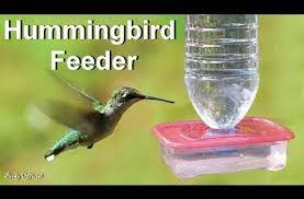 Hummingbird Feeder How To Make A Hummingbird Feeder Using Plastic Bottle And Candy Bo Humming Bird Feeders Homemade Hummingbird Feeder Diy Hummingbird Feeder