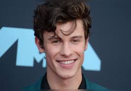 Jul 08, 2021 · for a certain type of young male heartthrob, booking a shirtless calvin klein campaign is something of a rite of passage. Shawn Mendes Appears Shirtless On Instagram His Fans Go Wild World Today News
