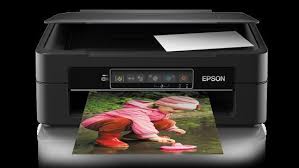 Download epson xp 245 printer driver free for windows and mac and how to install it. Bud AklavietÄ— Apie Nustatyma Epson Stylus Xp 245 Griyawisatanusantara Com