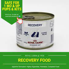 How much is urgent care for dogs. Royal Canin Veterinary Diet Recovery Food For Urgent Care Of Dogs And Cats 195g Lazada Ph