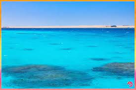 red sea egypt البحر الأحمر مصر www batuta com travel list travel egypt