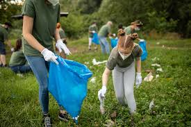 نتیجه جستجوی لغت [litter] در گوگل