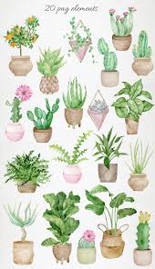 Excited To Share The Latest Addition To My Etsy Shop Watercolor Potted Plants Clipart Trendy Boho Ho Plant Drawing Watercolor Illustration Watercolor Plants