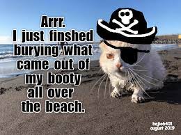Lolcats Poop Lol At Funny Cat Memes Funny Cat Pictures With Words On Them Lol Cat Memes Funny Cats Funny Cat Pictures With Words On