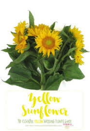 White and yellow are a common color palette to use with. Names And Types Of Yellow Wedding Flowers With Pics Flower Tips