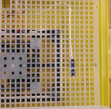 Инкубатор SITITEK 48-полный контроль инкубации