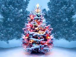 Buy Christmas Tree Near Me History Of Christmas Trees Symbolism Traditions Trivia History