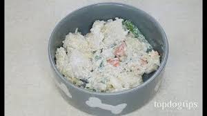 Homemade low calorie dog treat recipes. Homemade Dog Food For Renal Disease Recipe