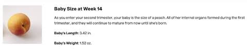 25 Ways To Announce A Pregnancy To Family In Person