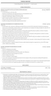 business owner resume sample mintresume
