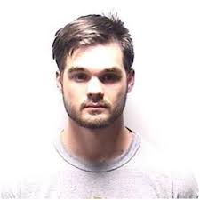 Wilcox pleads to domestic violence charge