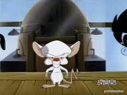 Pinky and the brain take over the world meme. Pinky And The Brain Take Over The World Gif