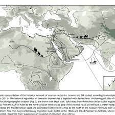 This course teaches students how to think algorithmically and solve problems efficiently. Camel Types A Camel Hybrid F1 Bactrian Camel 9 Dromedary Used For Download Scientific Diagram
